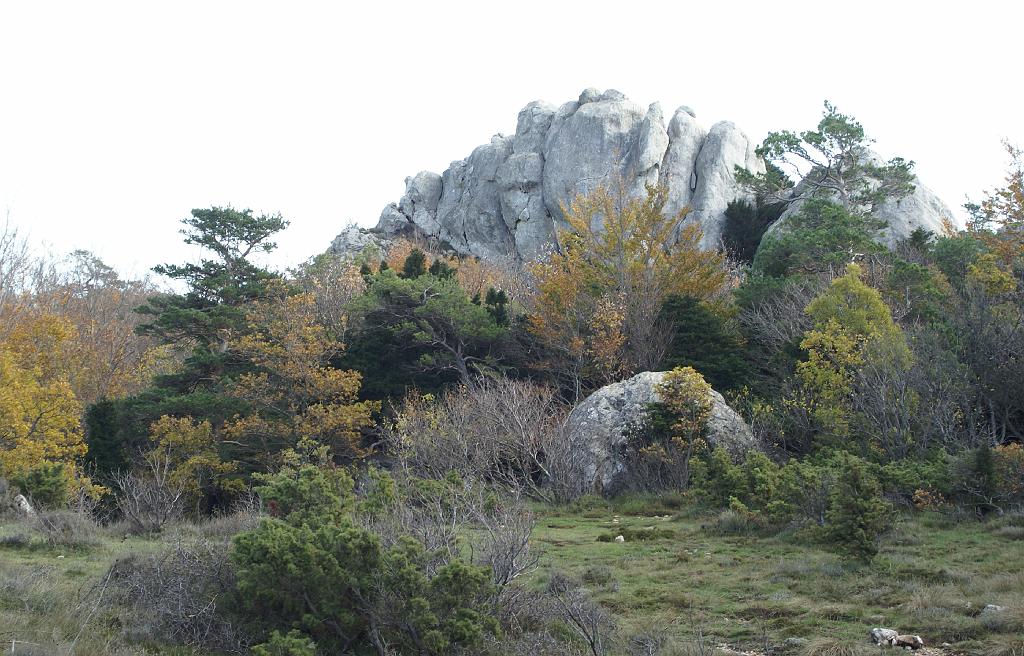 12 - 08 11 09 - Ste baume (Francis M)  - DSLR-A100 .JPG